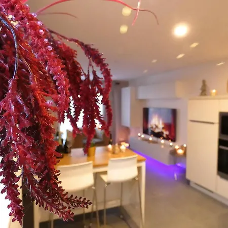 Suitedreams - Relax *